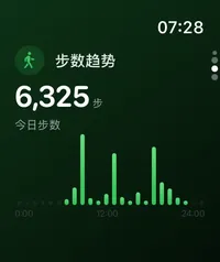 Apple Watch 步数追踪界面
